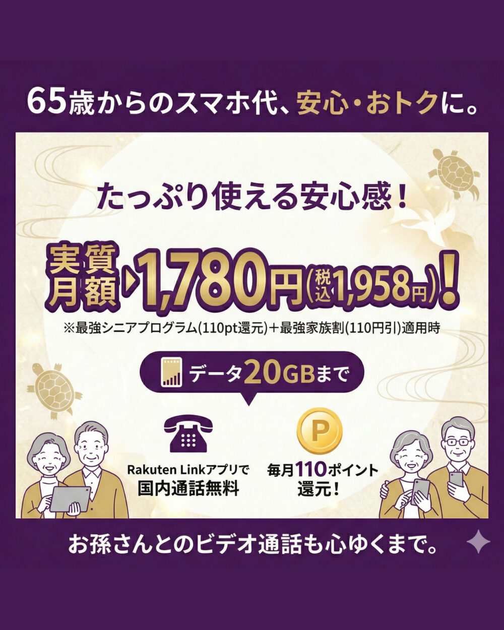 最強シニアプログラム　20GBまで　料金